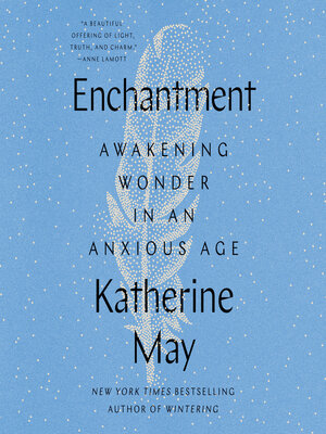 cover image of Enchantment
